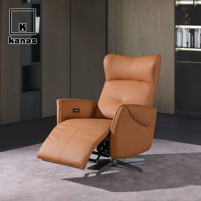 កៅអីអង្គុយថាមពលពណ៌ត្នោត