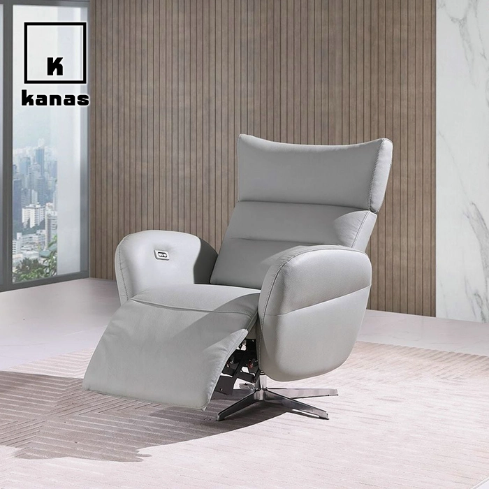 កៅអីអង្គុយថាមពលពណ៌ប្រផេះ