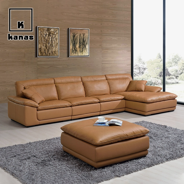 ottoman nga moadto sa brown nga panit nga sopa