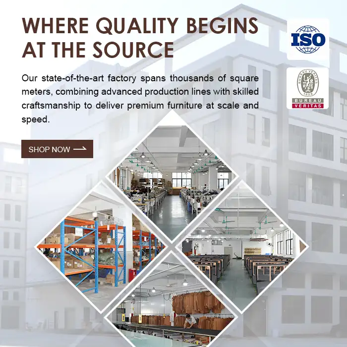 手机端banner3_1749190834126